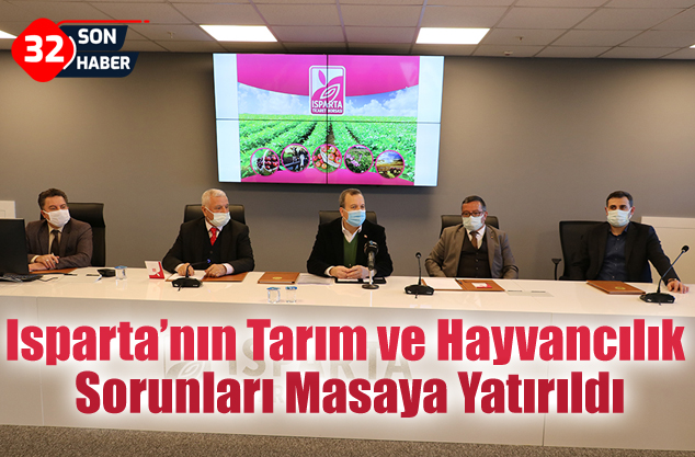 tarım