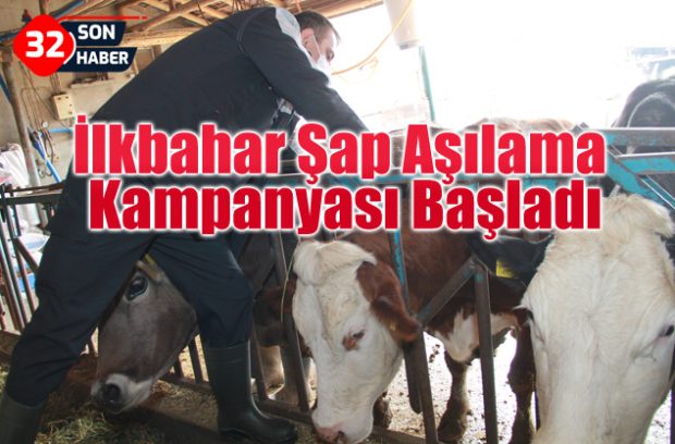 şap