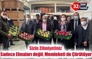 Sizin Zihniyetiniz Sadece Elmaları değil, Memleketi de Çürütüyor