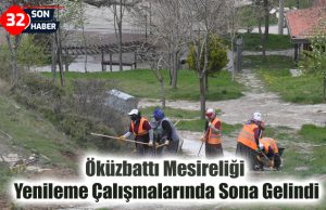 Öküzbattı Mesireliği Yenileme Çalışmalarında Sona Gelindi