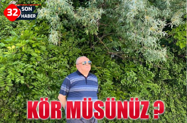 kör