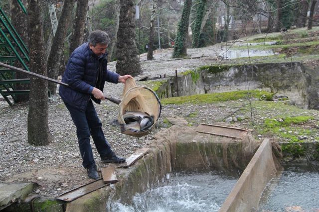 Balık Tüketiminin Artırılması İçin (1)